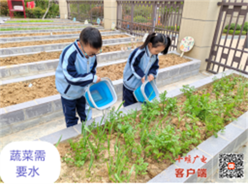 微信图片_20250328193337_副本