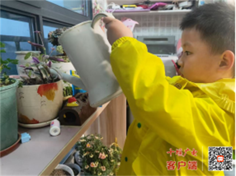 微信图片_20250328193332_副本