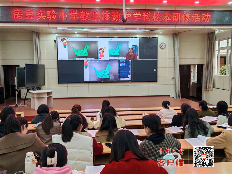 图片1