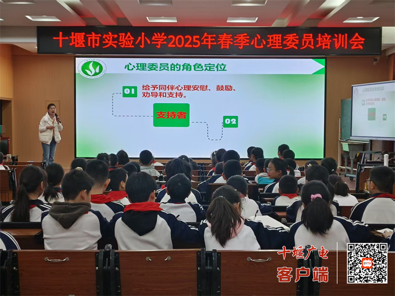 微信图片_20250331194229_副本