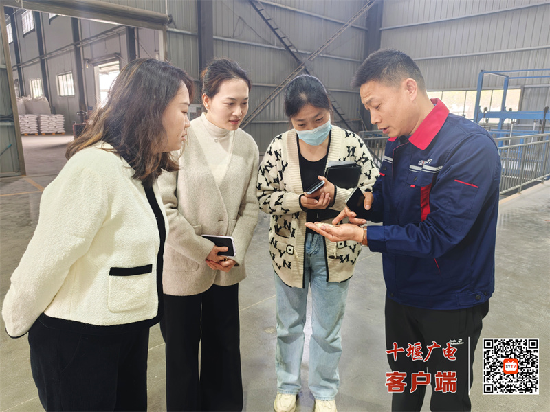 微信图片_20250403064654_副本