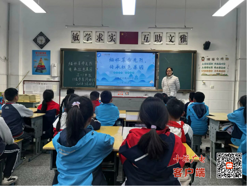 图片1