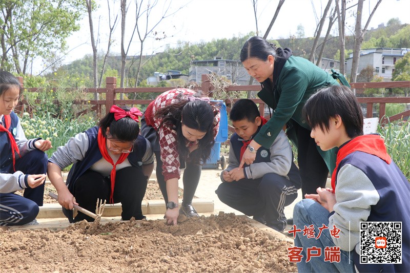 微信图片_20250403175942_副本