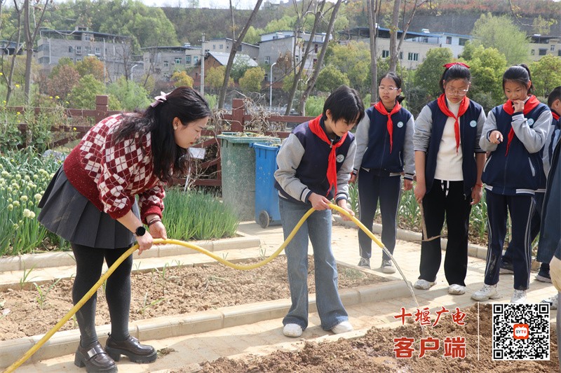 微信图片_20250403175949_副本
