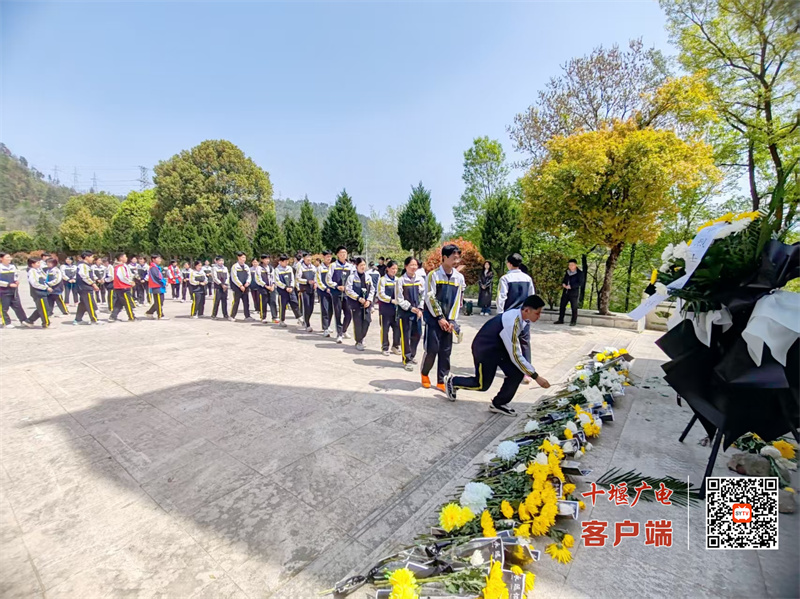微信图片_20250404162833