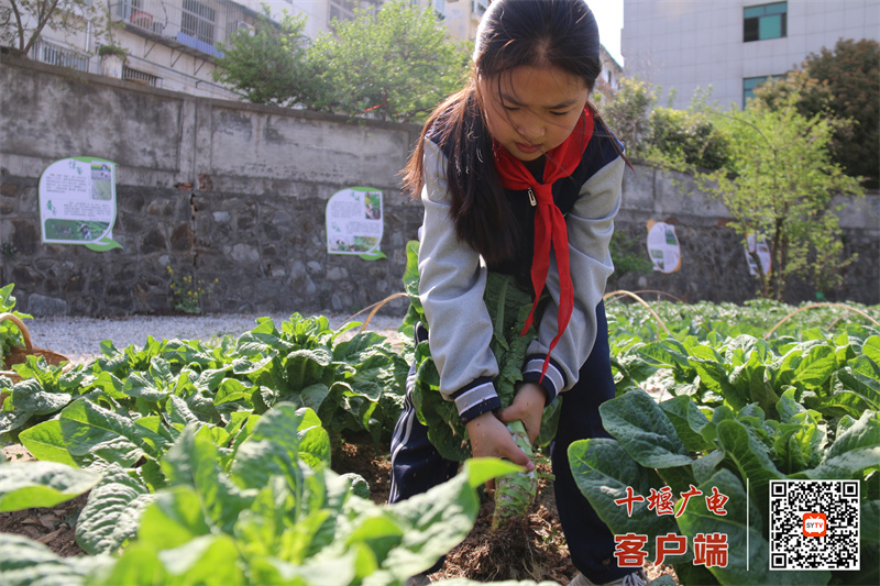 微信图片_20250407171748_副本