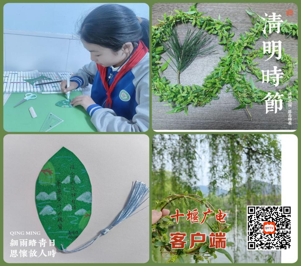 图片4