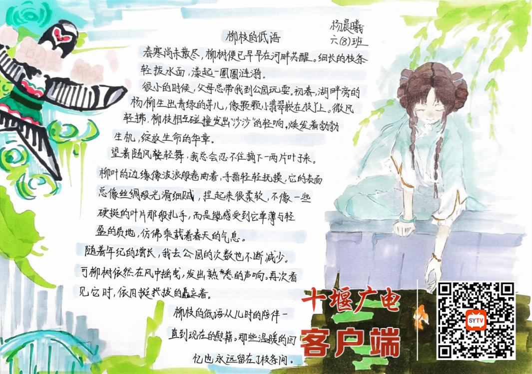 图片5