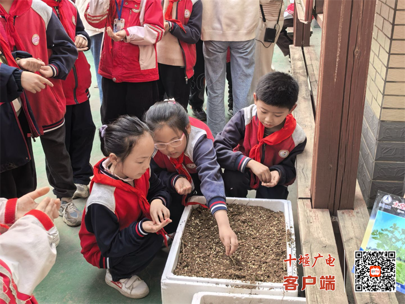 微信图片_20250411195753_副本