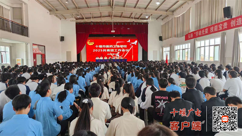 微信图片_20250501090223_副本