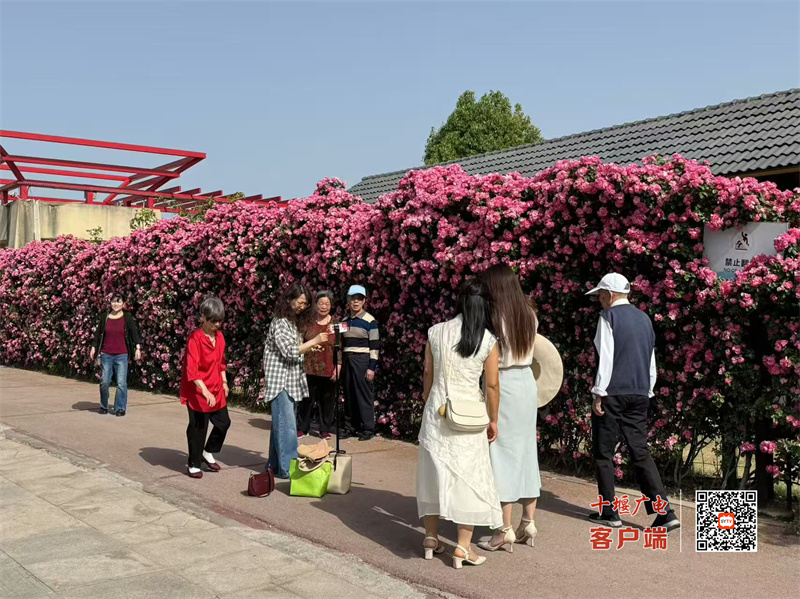 微信图片_20250501111854