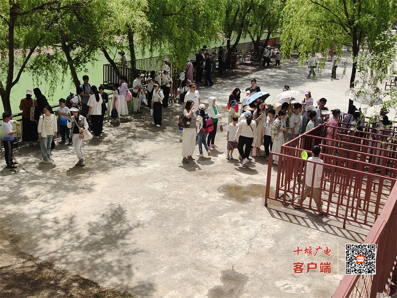 微信图片_20250501114729