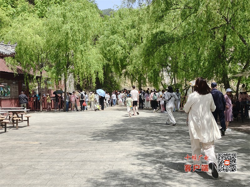 微信图片_20250501114734
