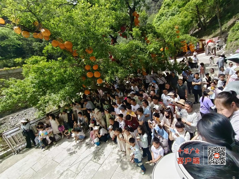 微信图片_2025-05-01_153425_853