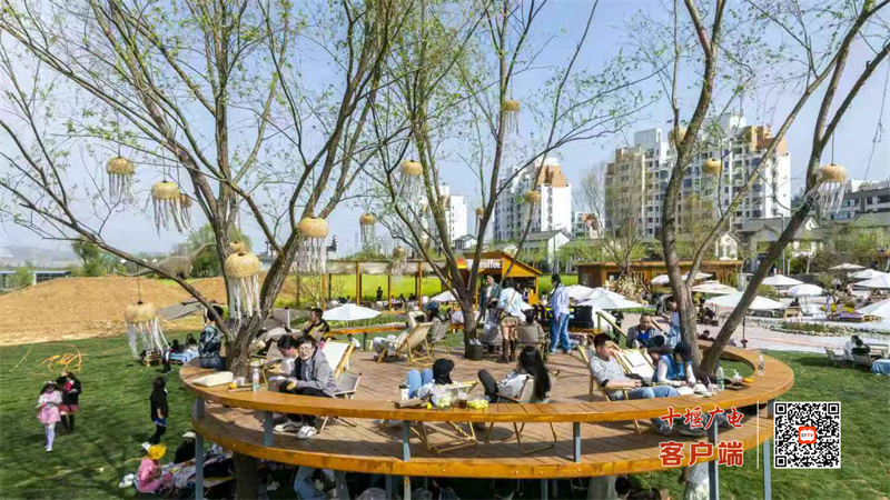 微信图片_2025-05-01_160518_656