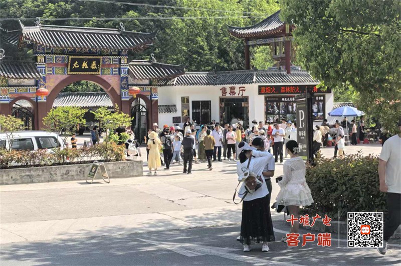 九龙瀑1_副本