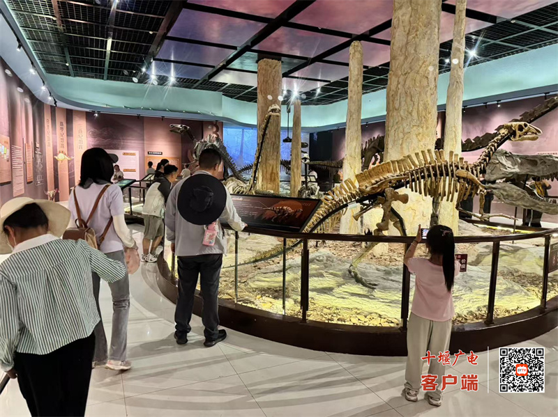 微信图片_2025-05-04_112822_721
