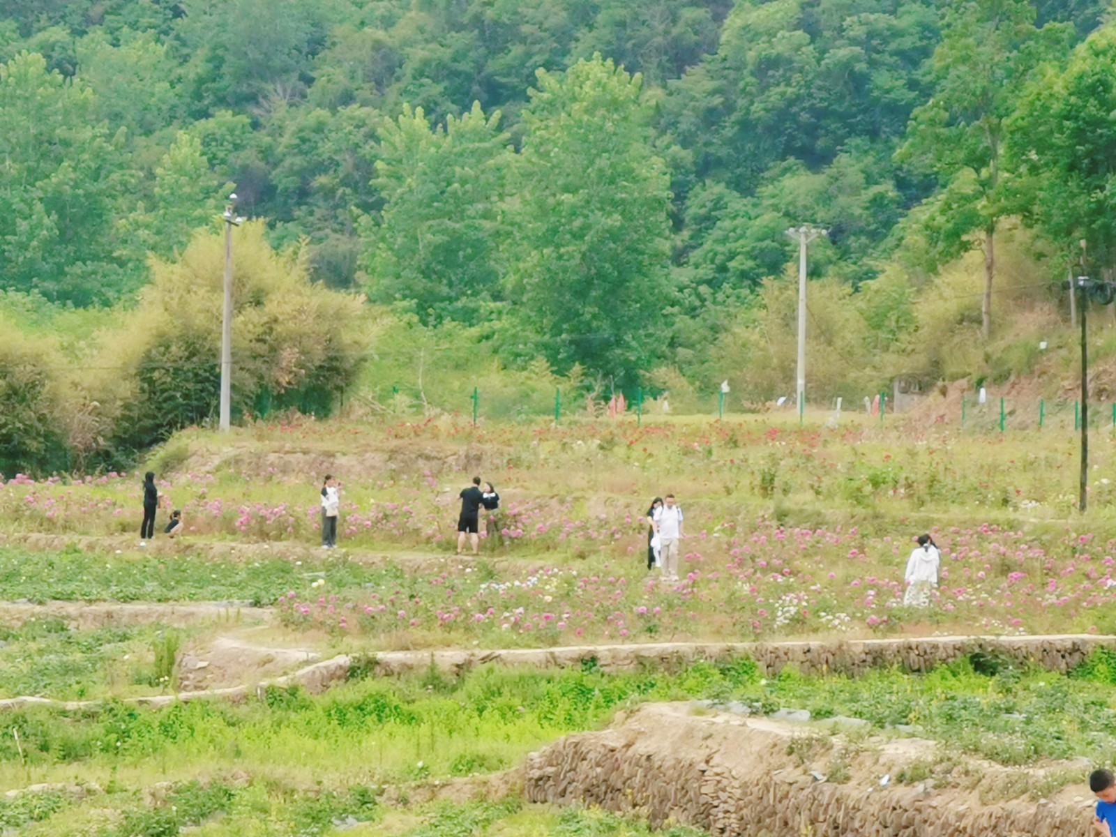 微信图片_2025-05-04_150031_812