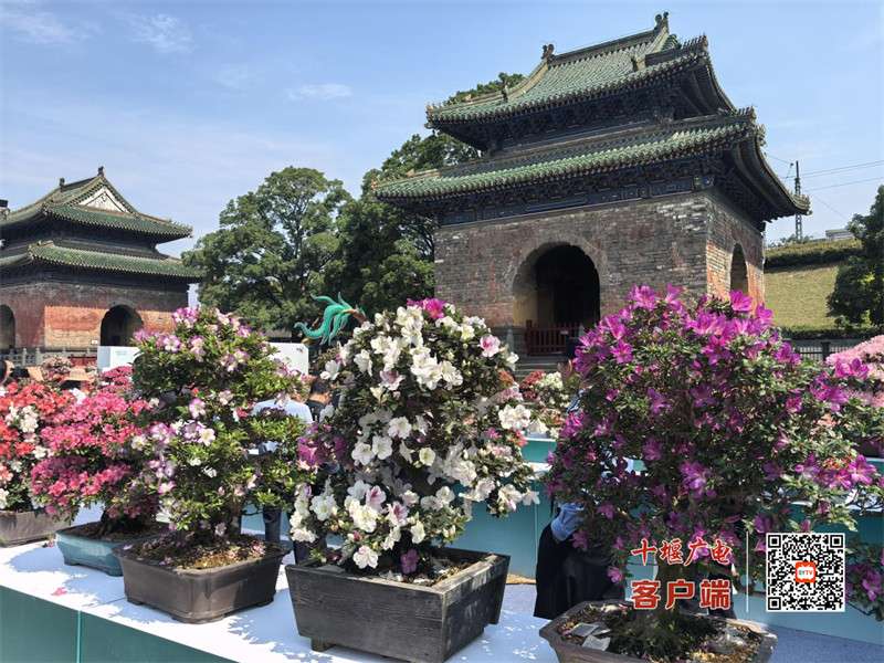 图片2