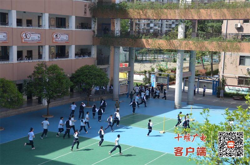 微信图片_20250513185552_副本