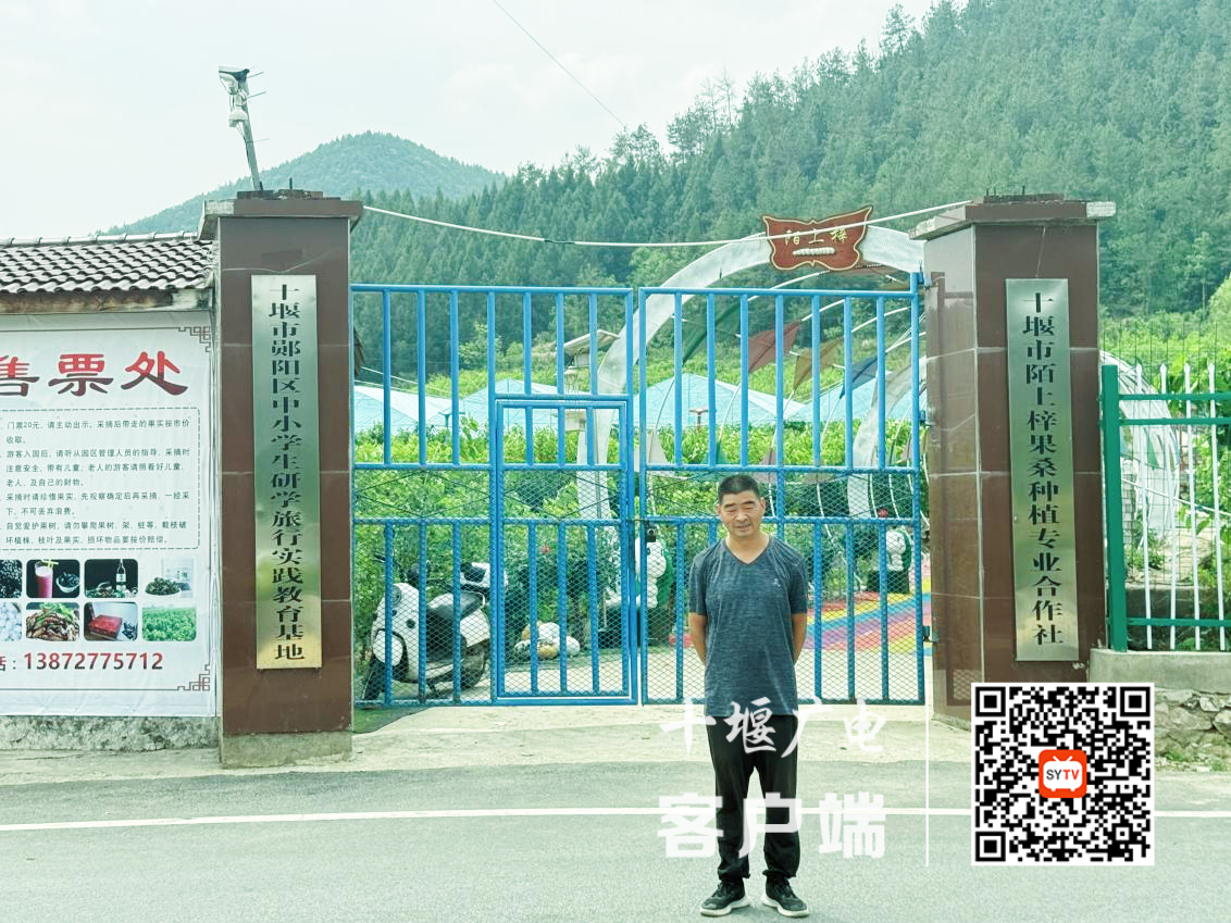 图片 1