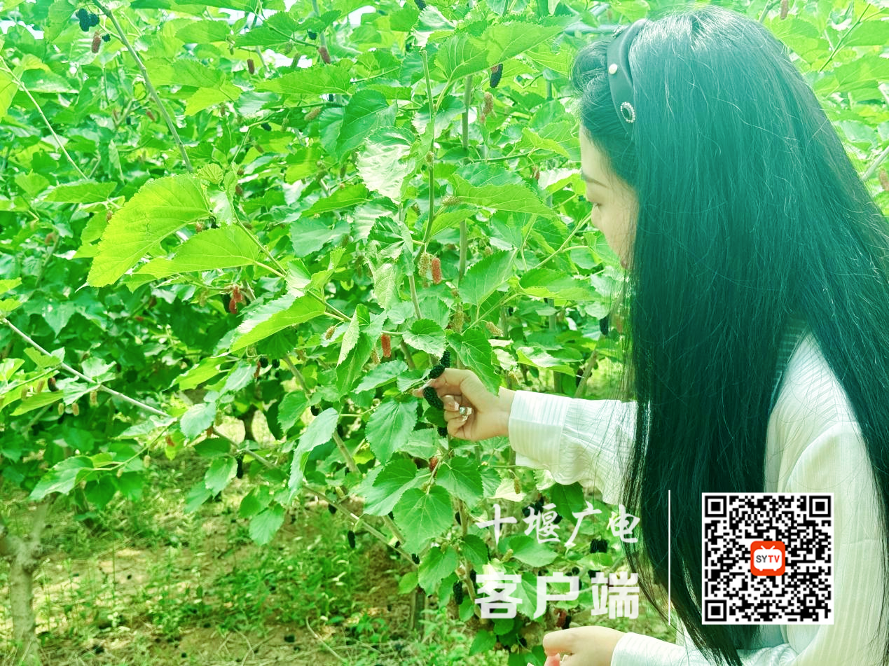 图片 2