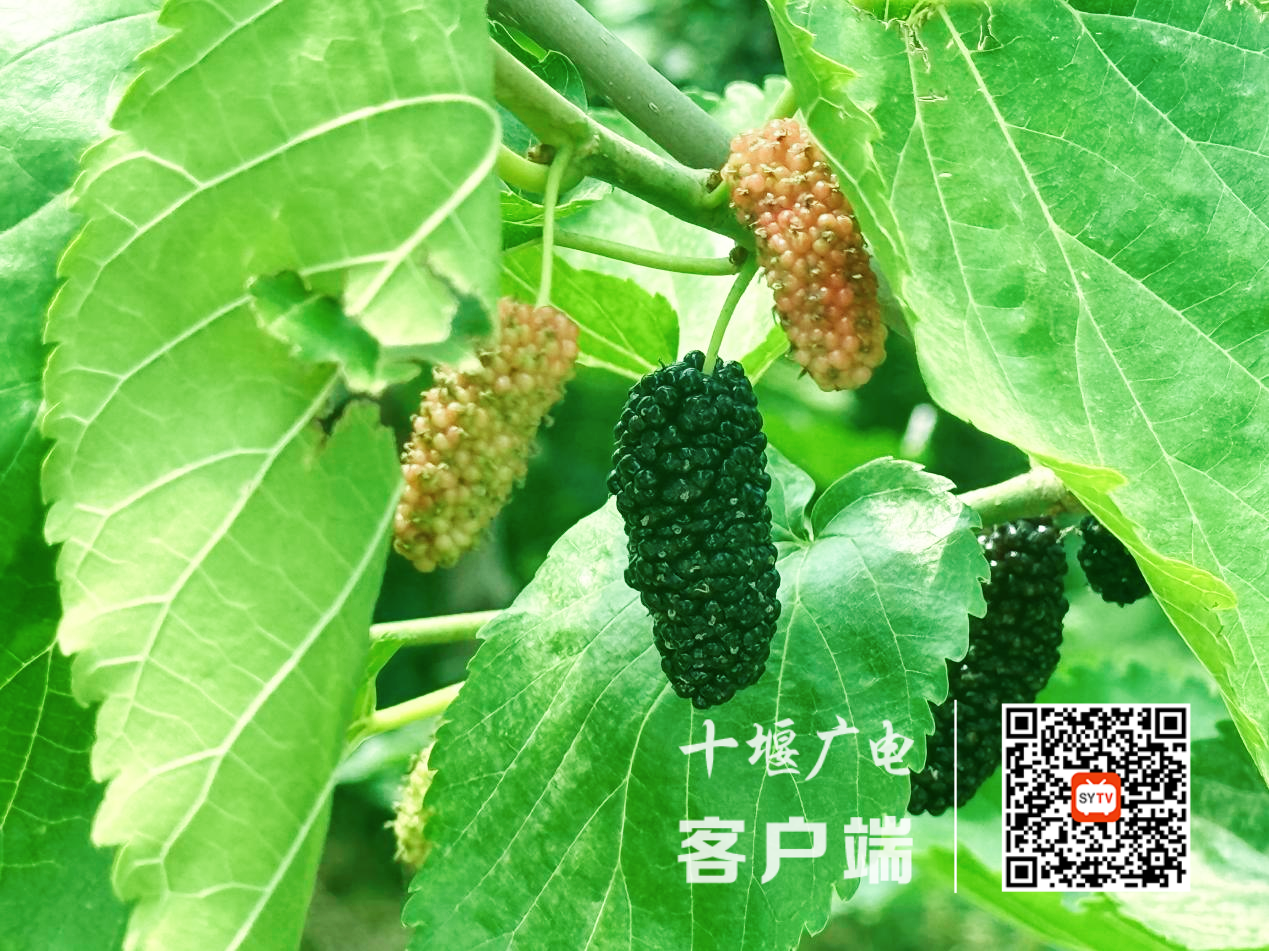 图片 3