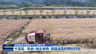 竹溪县：机收+地头收购  保障油菜籽颗粒归仓[00-00-23--00-00-31]