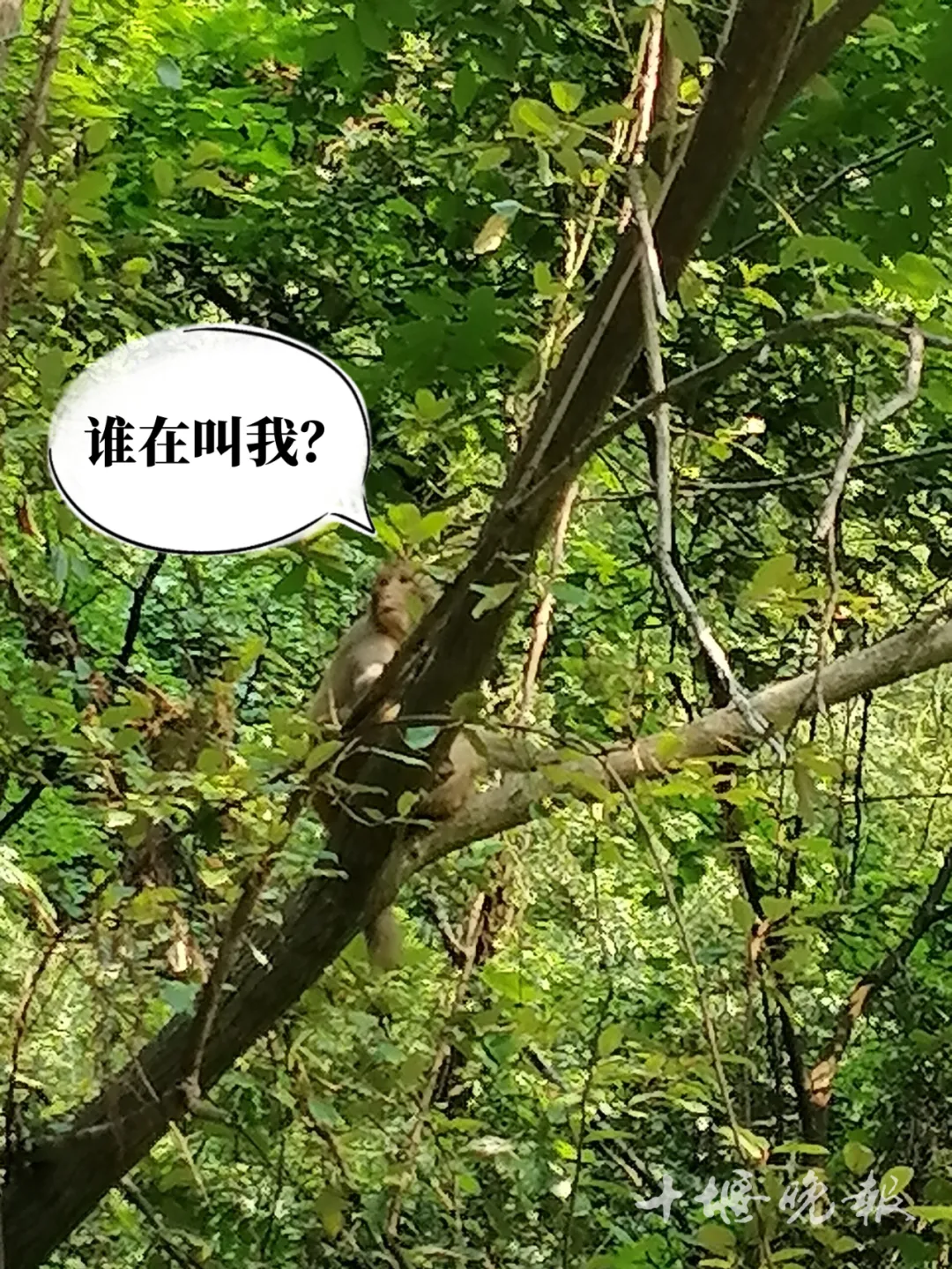 640_wx_fmt=jpeg&from=appmsg&tp=webp&wxfrom=5&wx_lazy=1 (2)