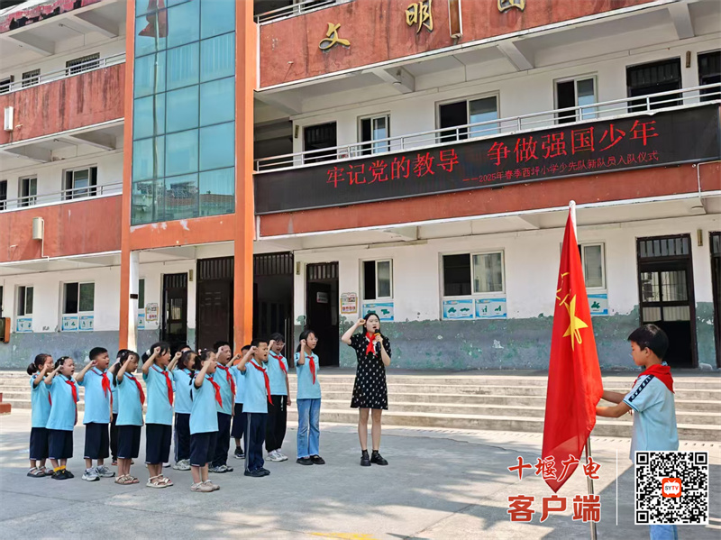 微信图片_20250528193549_副本