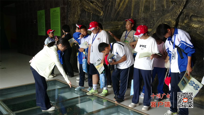 图片 1