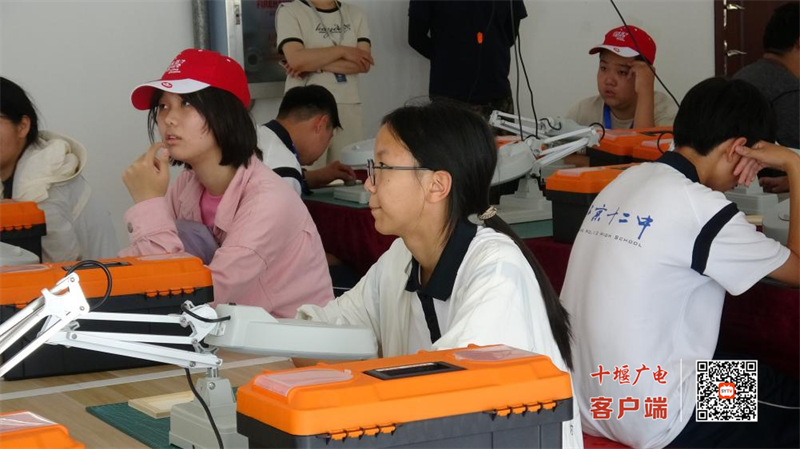 图片 11