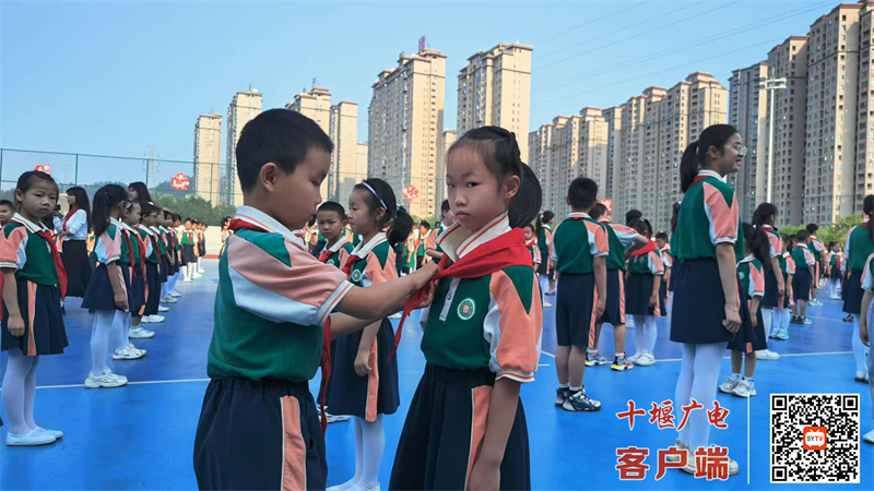 微信图片_20250530150546_副本