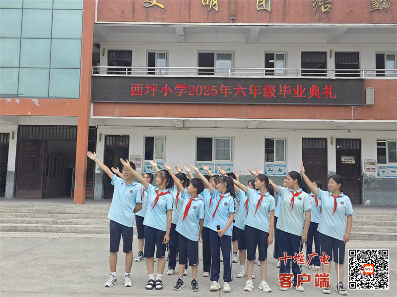 微信图片_20250604152041_副本