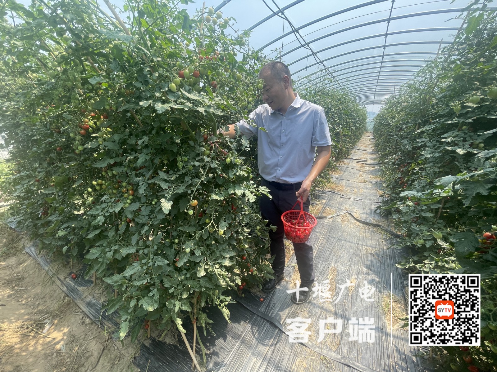微信图片_20250617145718