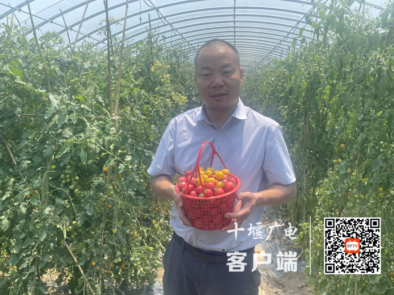 微信图片_20250617145731