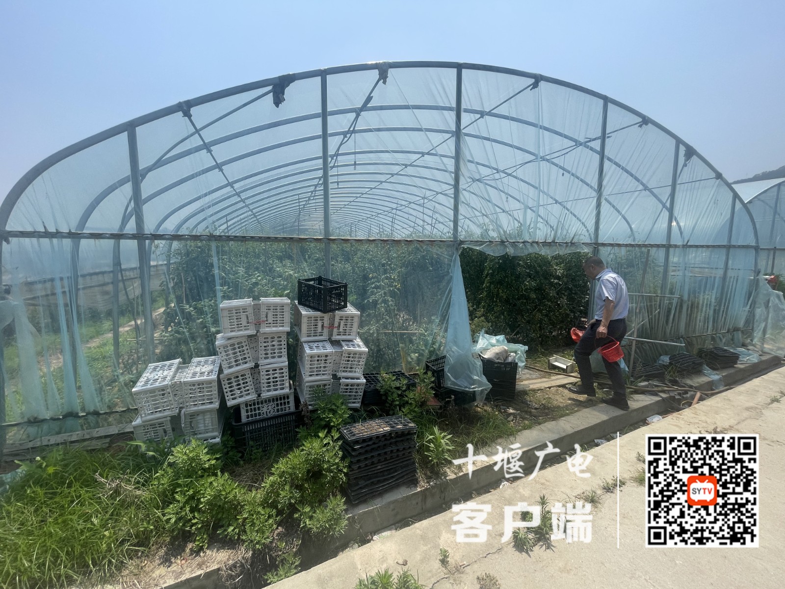 微信图片_20250617145709