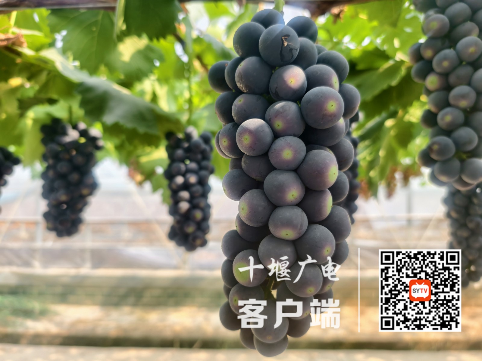 C6F904EBFED8B804FB85ED3A776325C2