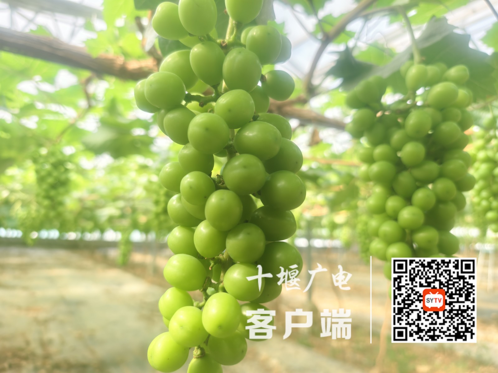 D80B0E4E1BA62711A253437FF9F1D724