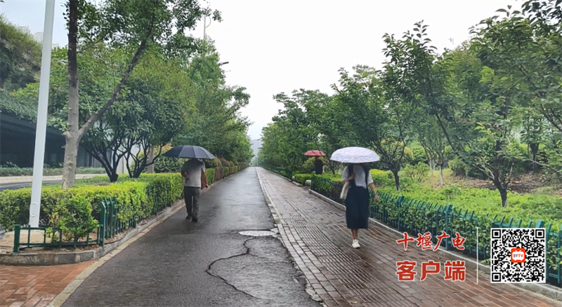 微信图片_20250619181009