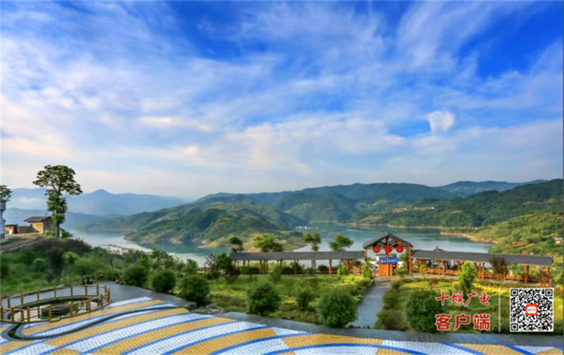 微信截图_20250620164521