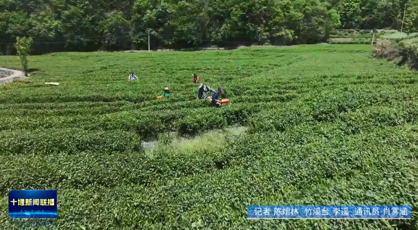 微信图片_20250620200129