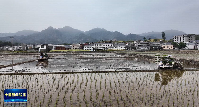 微信图片_20250620195923