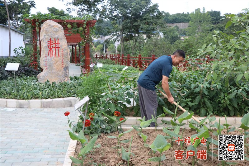 微信图片_20250620210405_副本