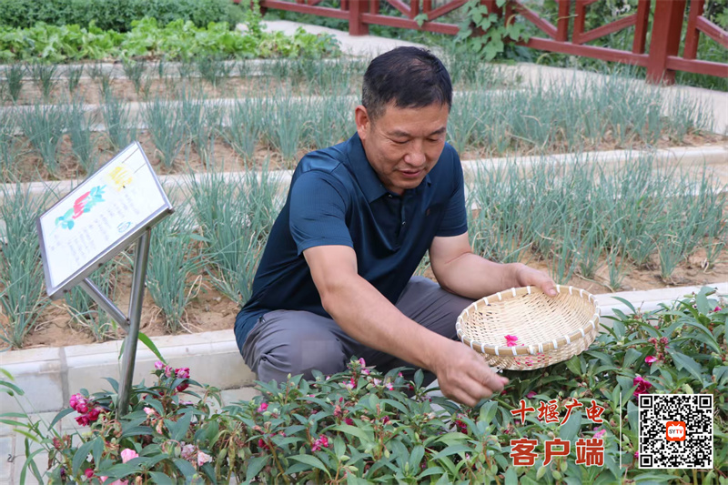 微信图片_20250620210409_副本