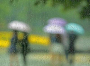 梅雨季全面开启！收好这份防潮指南→
