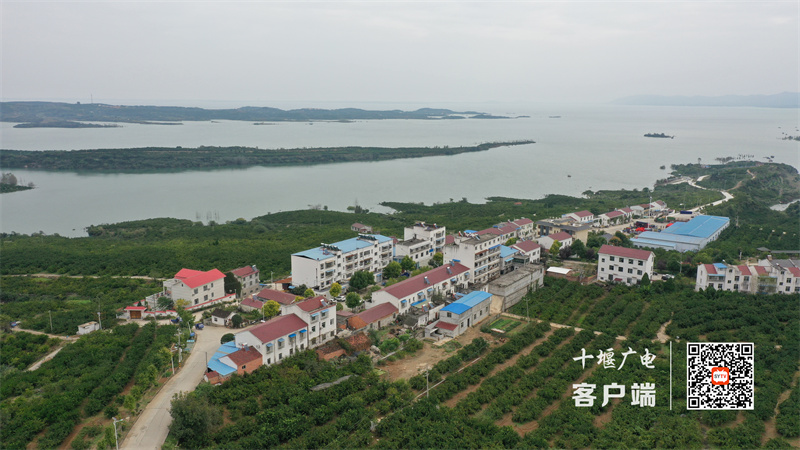 微信图片_20250623101019