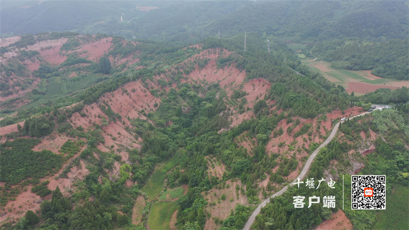 微信图片_20250623101013