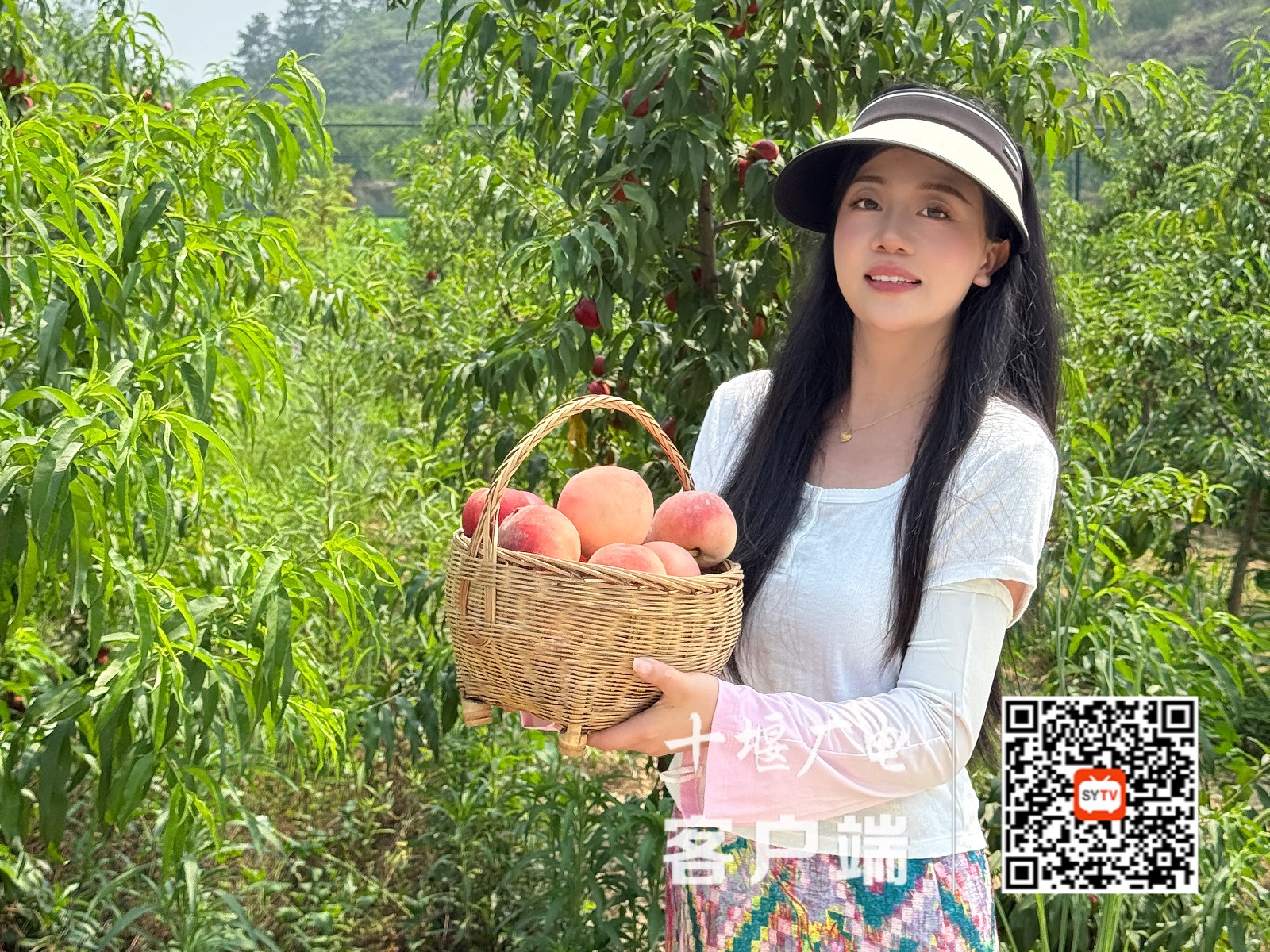微信图片_20250624194759