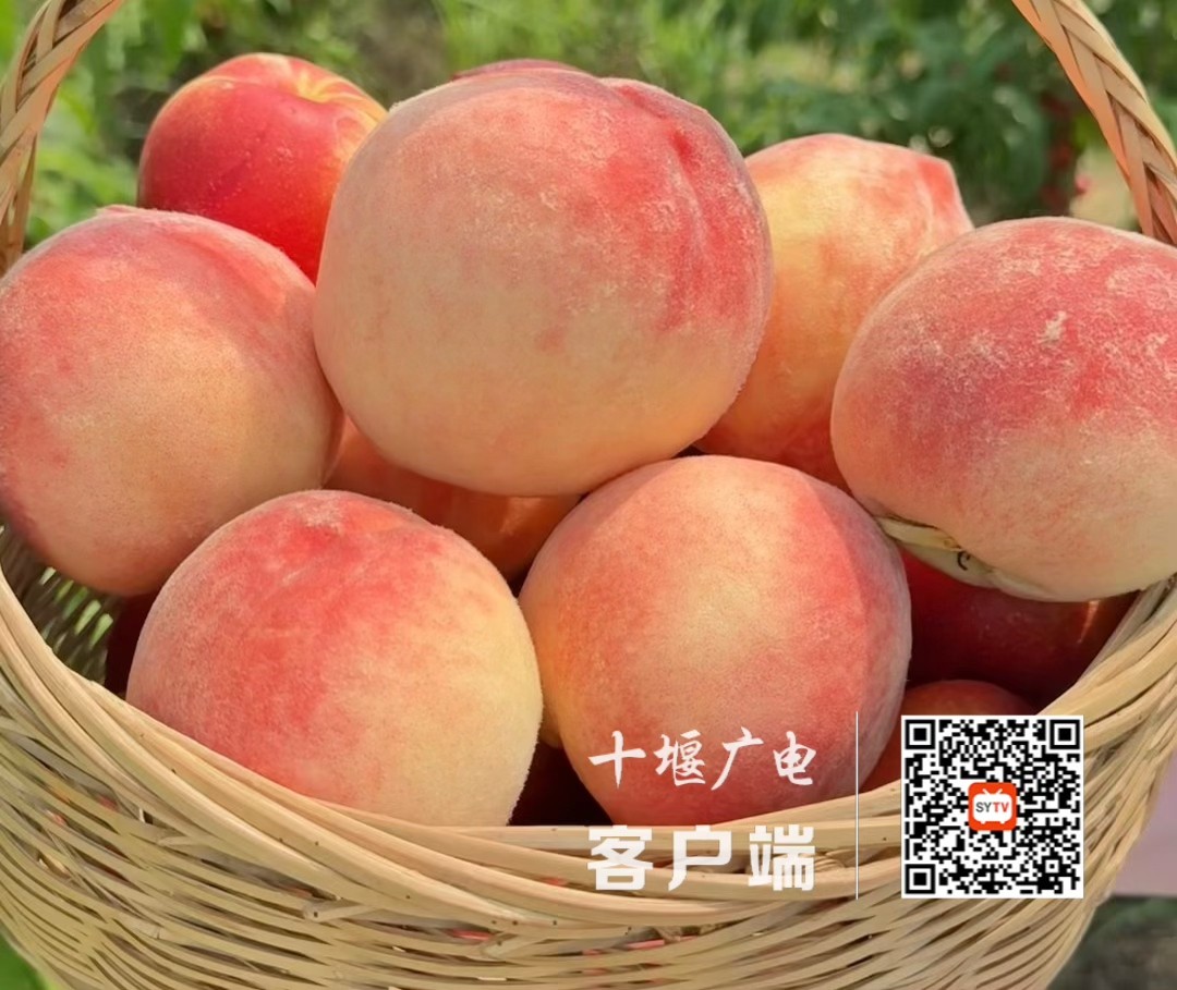 微信图片_20250624194751